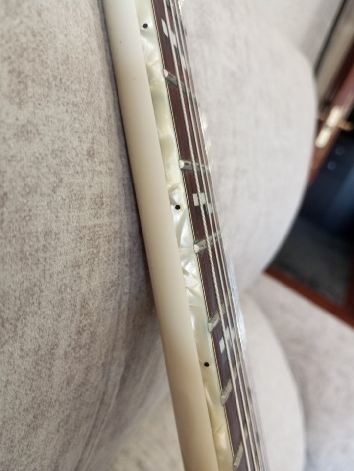 Ibanez DN500 darkstone White