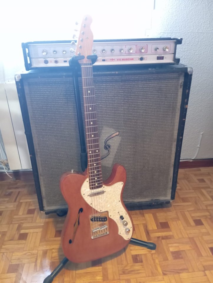 Telecaster Thinline LUTHIER