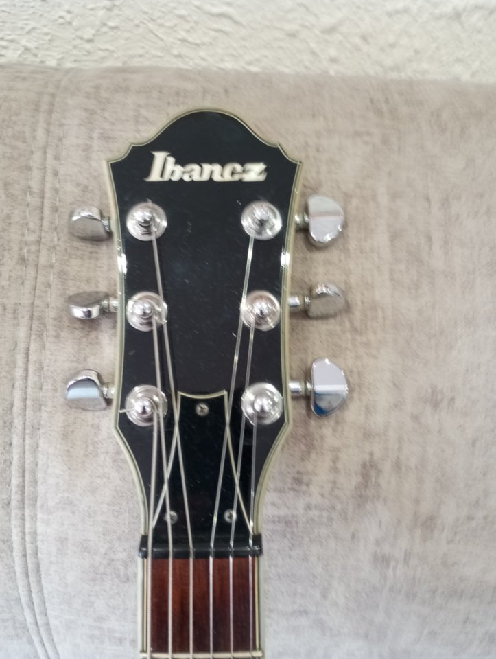 Ibanez DN500 darkstone White