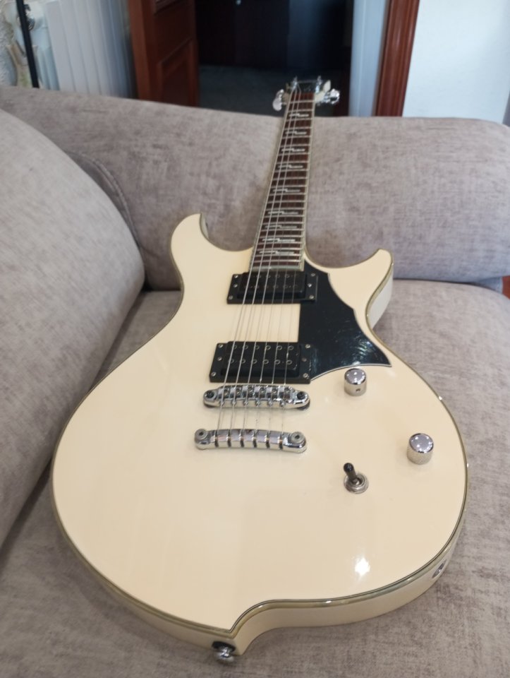 Ibanez DN500 darkstone White