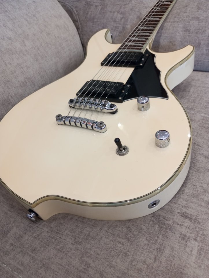 Ibanez DN500 darkstone White