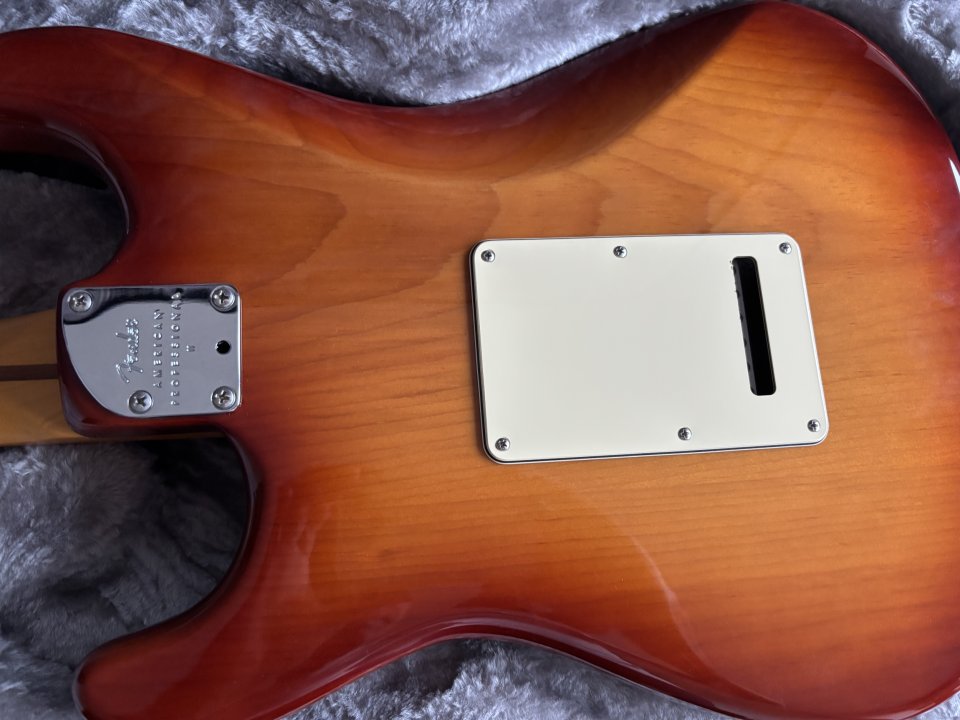 Fender Stratocaster American Pro II de segunda mano · Foto 2 de 9 · Cantabria · 1500 €