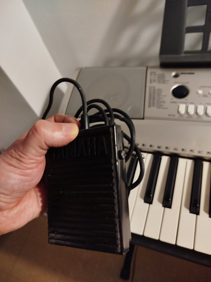 Yamaha PSR-E313 con: atril, pie, funda, pedal y fuente alimentación de segunda mano · Foto 4 de 6 · Sevilla · 200 €