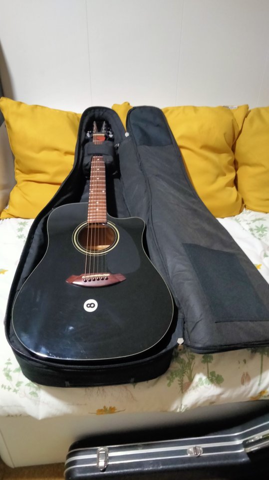 ELECTROACÚSTICA FENDER(también cambios)