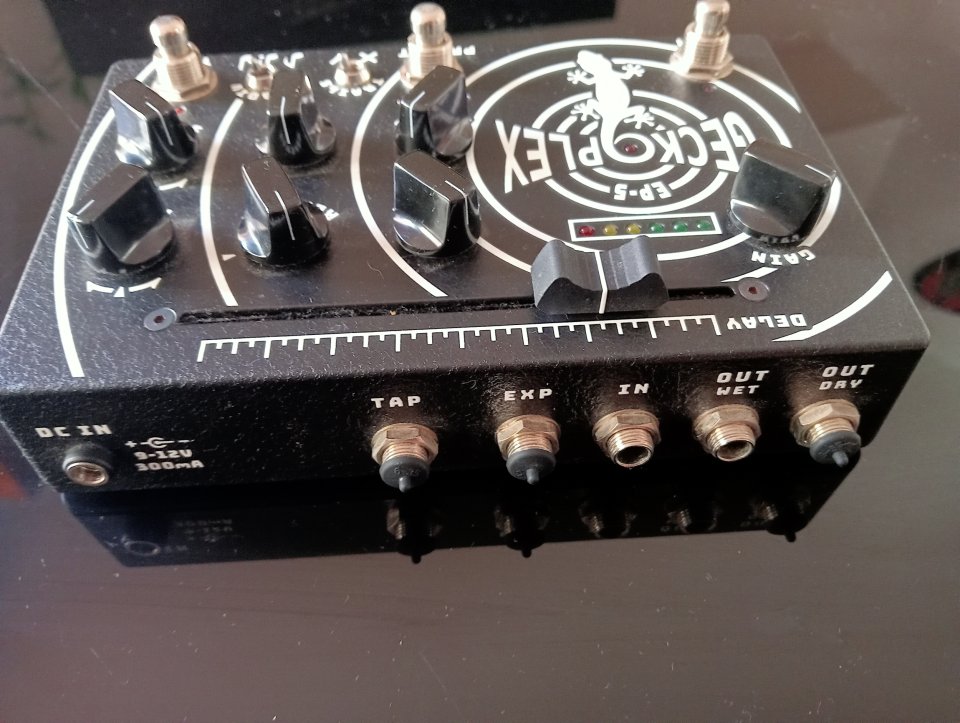 GECKO PLEX EP-5 de segunda mano · Foto 4 de 4 · Málaga · 450 €
