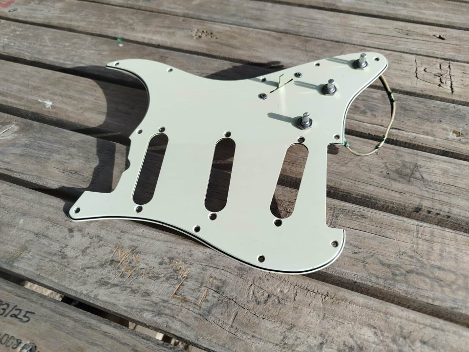 Golpeador completo Stratocaster