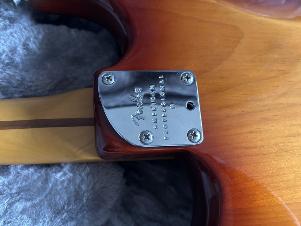 Fender Stratocaster American Pro II de segunda mano · Foto 6 de 9 · Cantabria · 1500 €