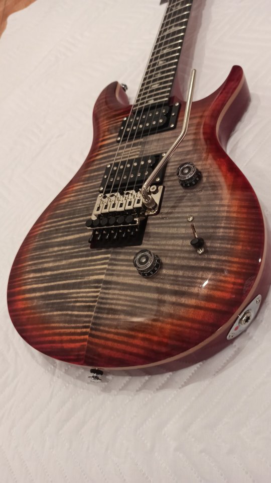 PRS SE Floyd Custom 24,