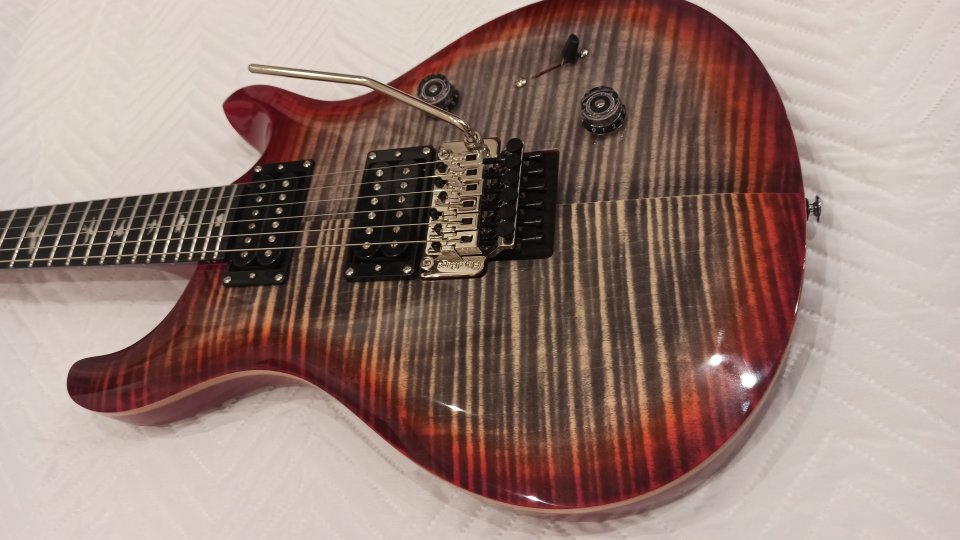 PRS SE Floyd Custom 24,