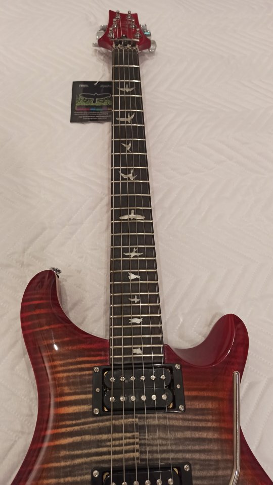 PRS SE Floyd Custom 24,