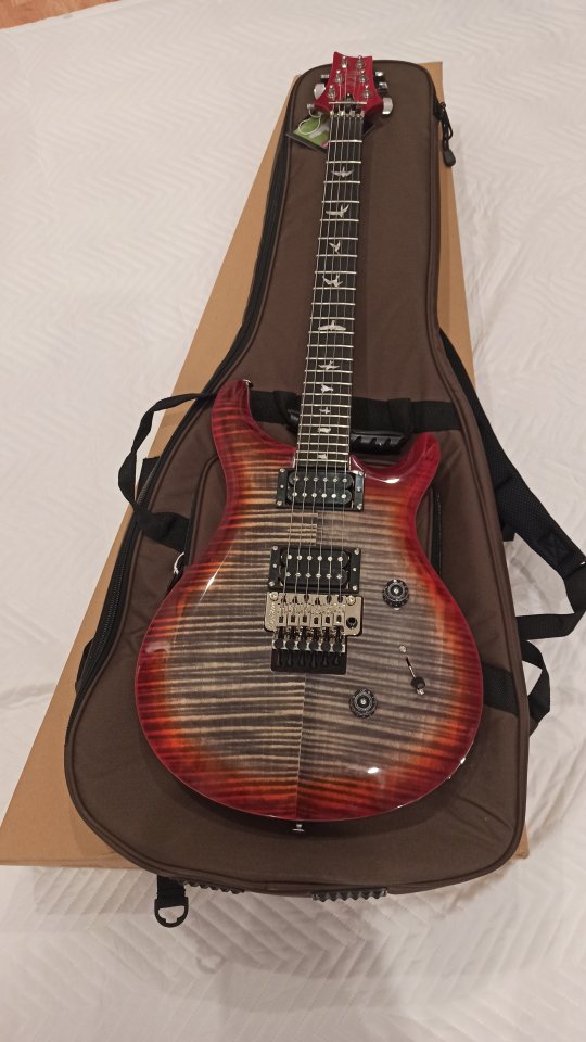 PRS SE Floyd Custom 24,