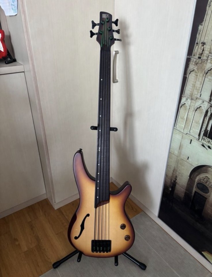 Bajo Ibanez srh 505 fretless