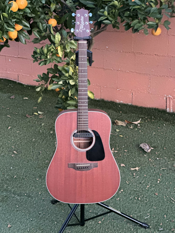 Takamine GD11 +  Pastilla Takamine Triax