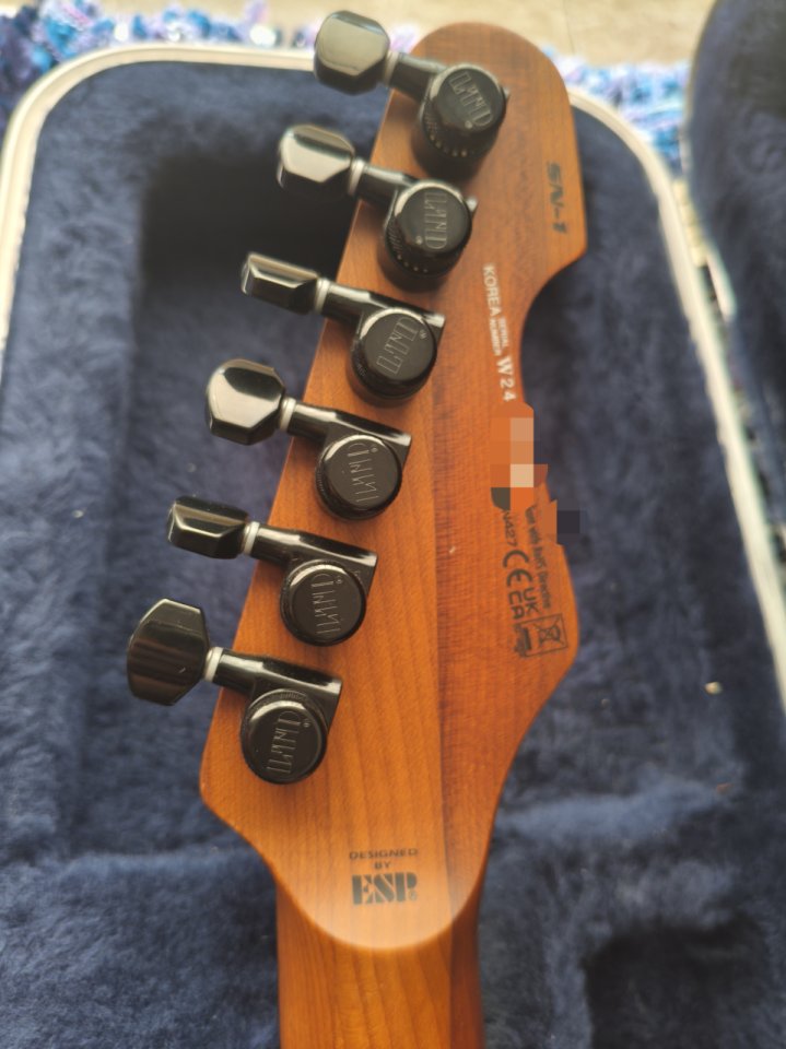 LTD SN-1 HT Black Bast de segunda mano · Foto 5 de 10 · Madrid · 999 €
