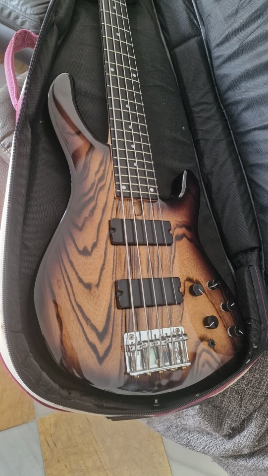 Bajo 5 cuerdas Bacchus