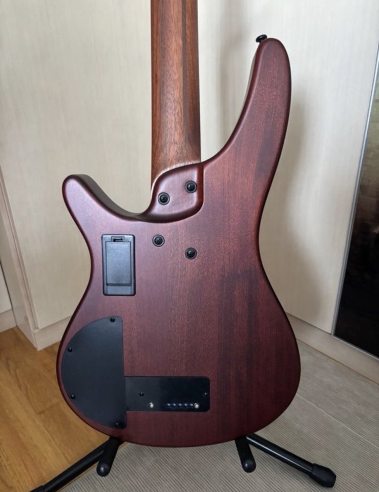 Bajo Ibanez srh 505 fretless