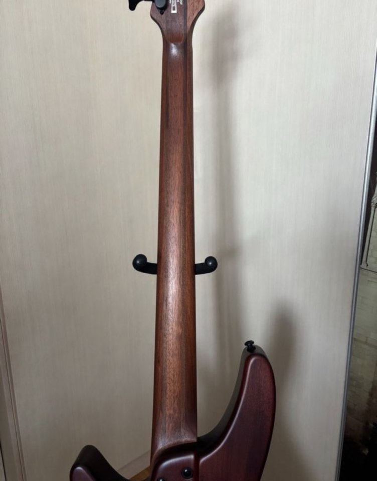 Bajo Ibanez srh 505 fretless