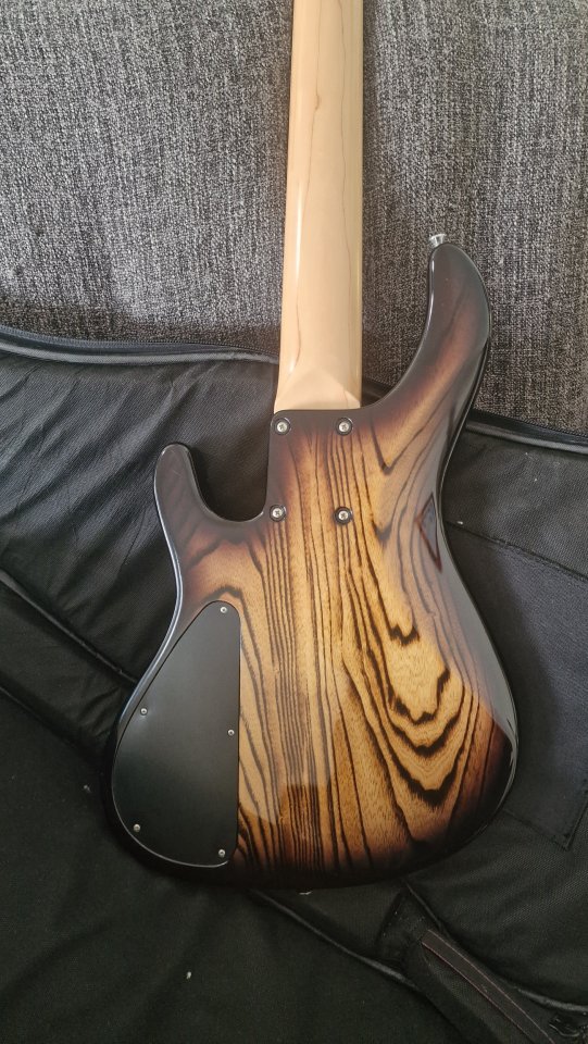 Bajo 5 cuerdas Bacchus