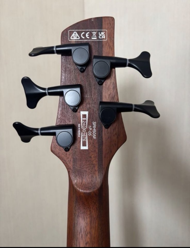 Bajo Ibanez srh 505 fretless