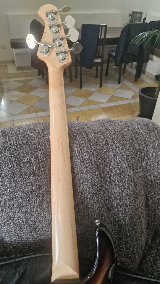 Bajo 5 cuerdas Bacchus