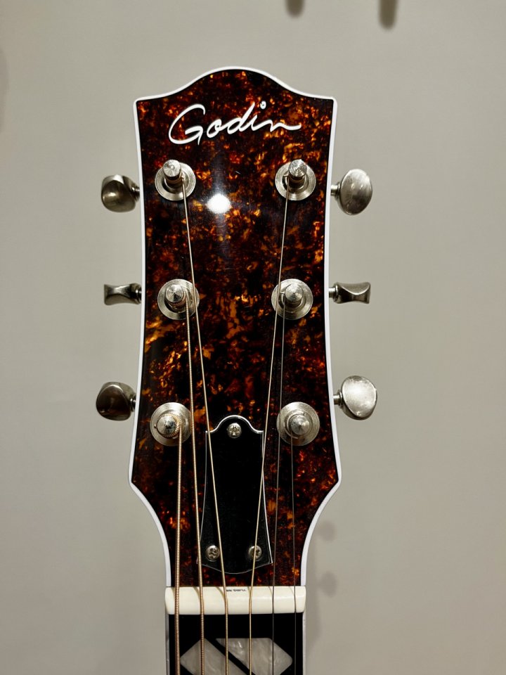 Godin metrópolis LTD Natural HG EQ