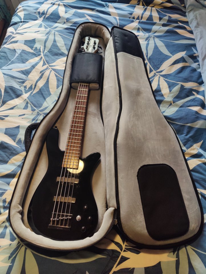 Rockbass by warwick Streamer 5 cuerdas con EMG J5 y preamp EMG BTS de segunda mano · Foto 1 de 9 · Madrid · 475 €