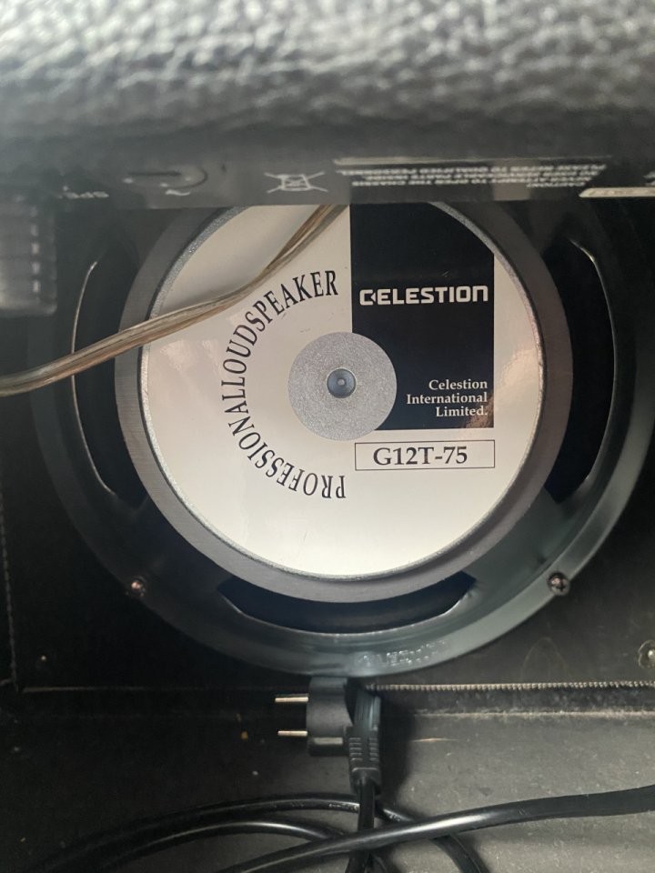 The Valve Bimbo 105 (Marshall Plexi)