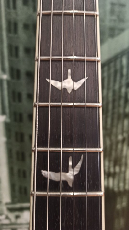 PRS SE McCarty 594 BG