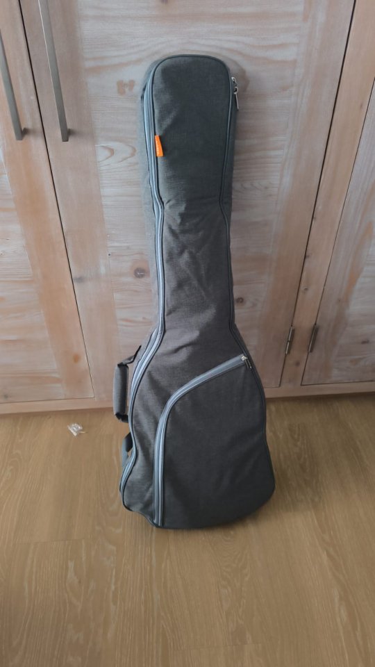 SCHECTER sun valley sustainiac