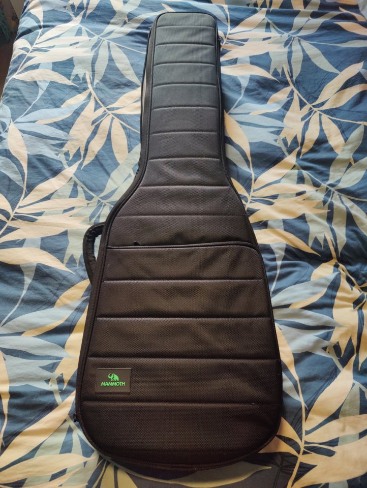 Rockbass by warwick Streamer 5 cuerdas con EMG J5 y preamp EMG BTS de segunda mano · Foto 9 de 9 · Madrid · 475 €