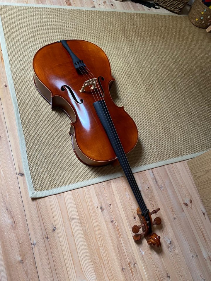 Oportunidad. Violonchelo Sielam Divertimento 1/2 de segunda mano · Foto 2 de 5 · Cantabria · 900 €