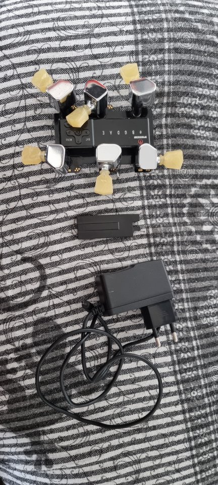 Clavijero Tronical G-Force Gibson