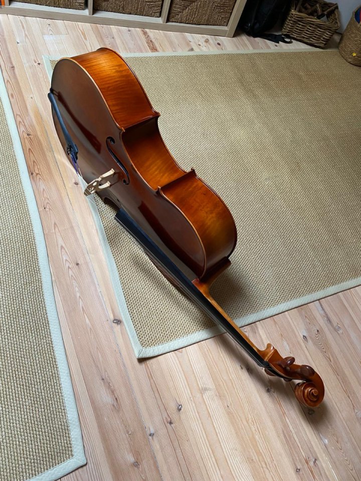 Oportunidad. Violonchelo Sielam Divertimento 1/2 de segunda mano · Foto 3 de 5 · Cantabria · 900 €