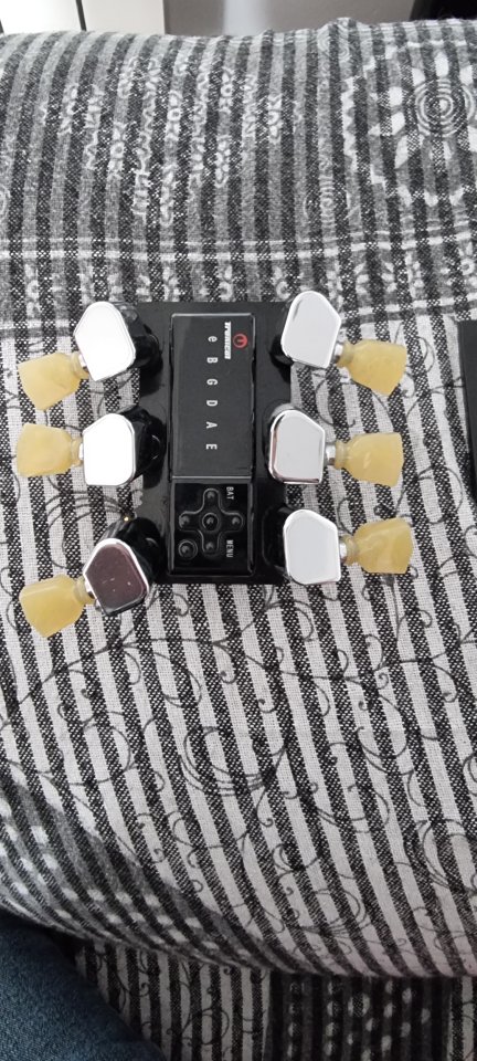 Clavijero Tronical G-Force Gibson