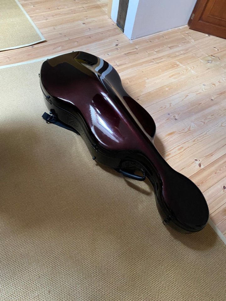Oportunidad. Violonchelo Sielam Divertimento 1/2 de segunda mano · Foto 5 de 5 · Cantabria · 900 €
