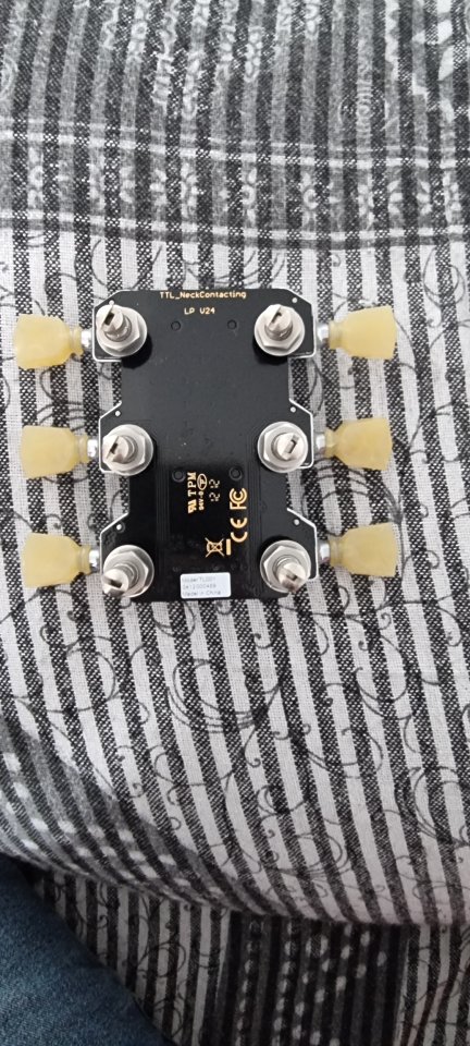 Clavijero Tronical G-Force Gibson