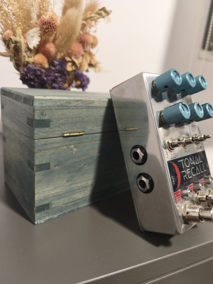 Chase Bliss Audio Tonal Recall de segunda mano · Foto 3 de 4 · Madrid · 390 €