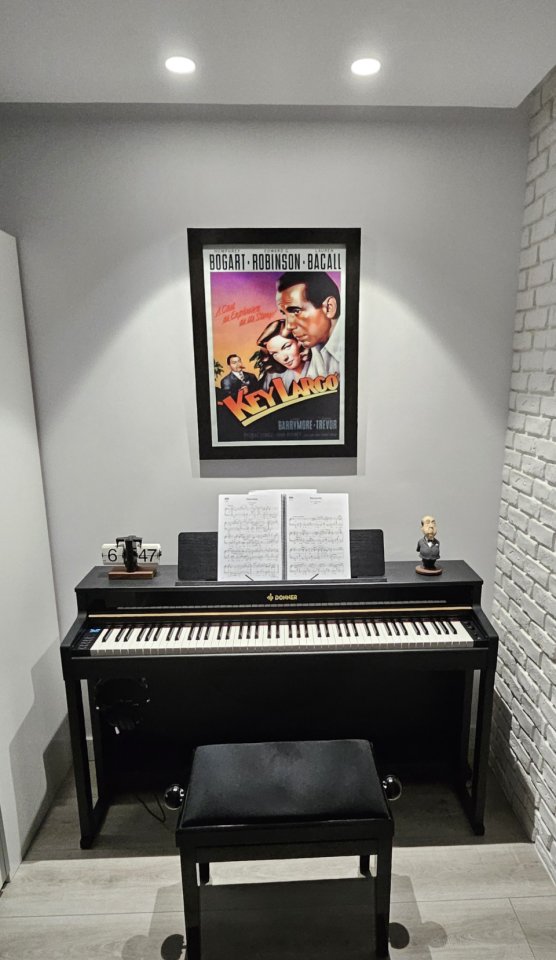 Piano Digital Donner DDP-400 de segunda mano · Foto 1 de 4 · La Rioja · 500 €