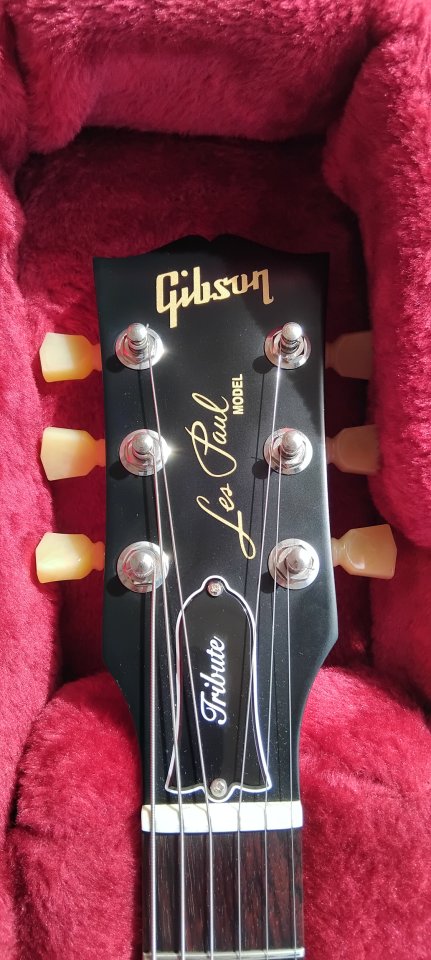 Gibson Les Paul Tribute 2024 de segunda mano · Foto 5 de 8 · Barcelona · 900 €