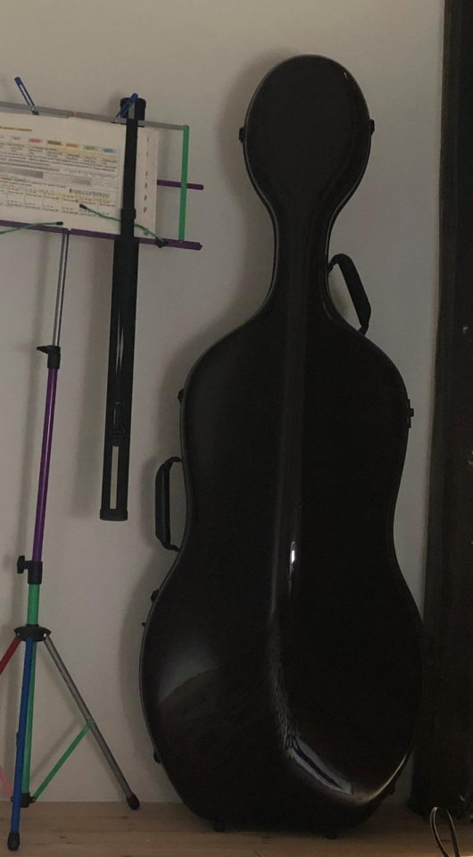 Funda profesional de violonchelo 1/2 de segunda mano · Foto 1 de 3 · Cantabria · 700 €