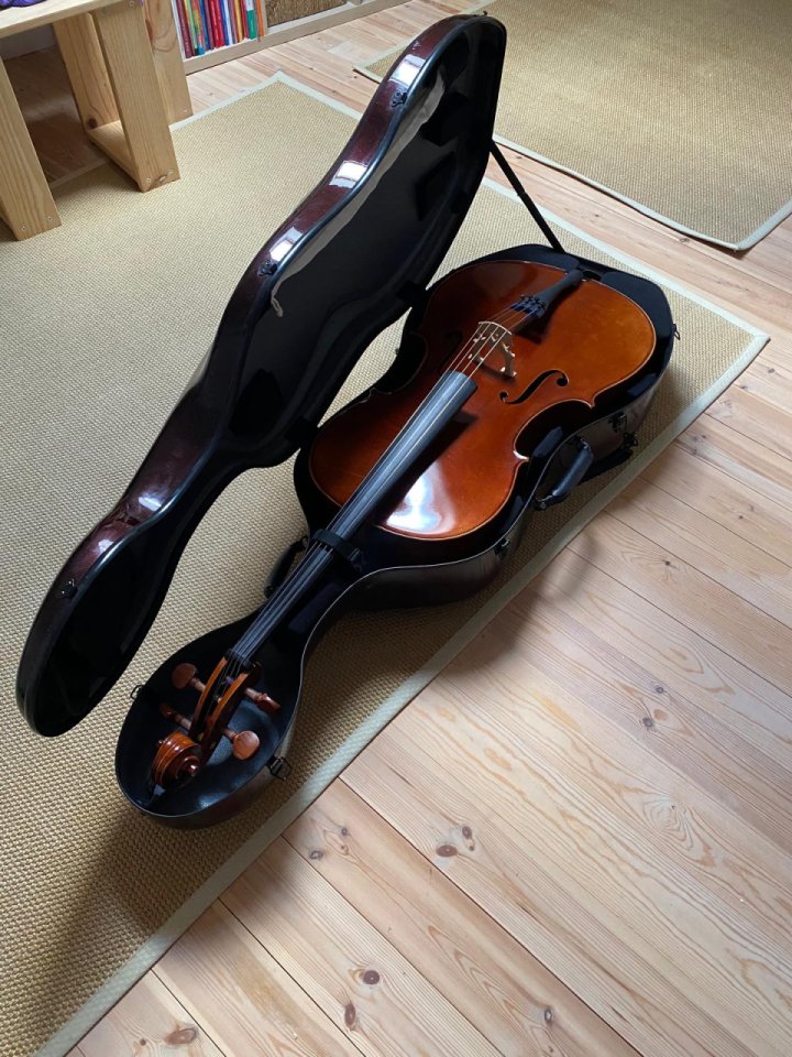 Funda profesional de violonchelo 1/2 de segunda mano · Foto 3 de 3 · Cantabria · 700 €