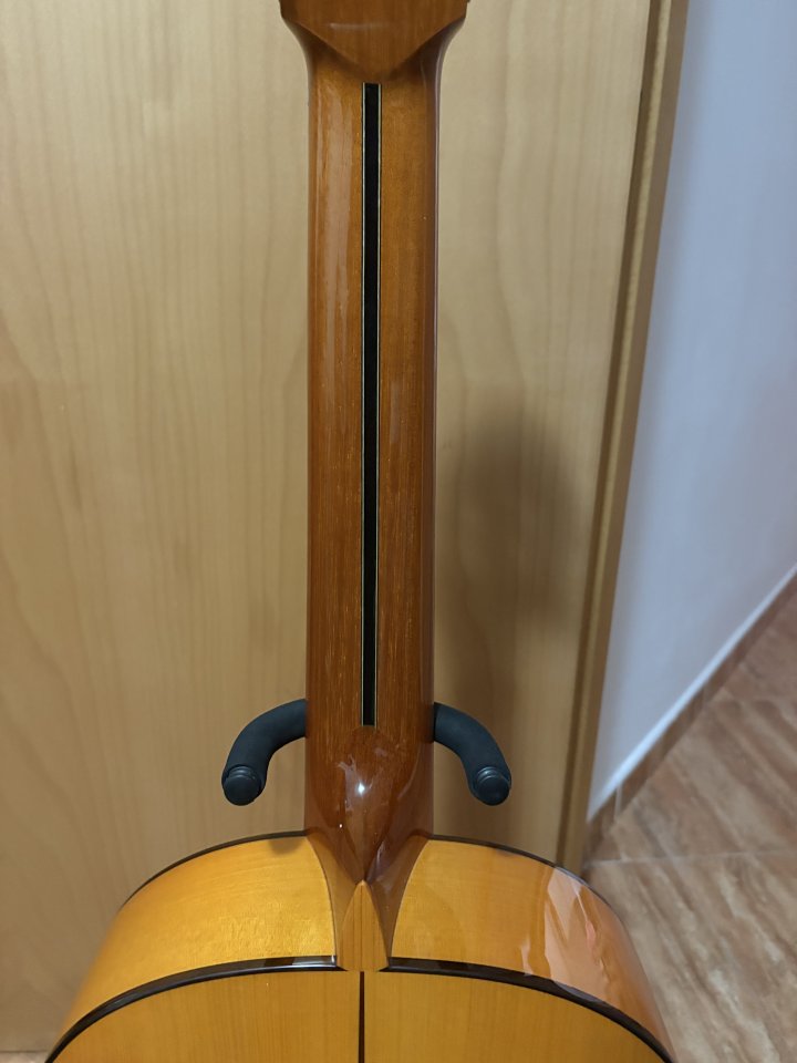 Guitarra flamenca Amalio Burguet