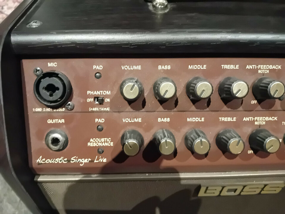 Boss ACS Acoustic Singer Live