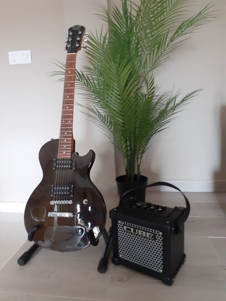 Guitarra J&D tipo Gibson lp de segunda mano · Foto 1 de 2 · Pontevedra · 140 €