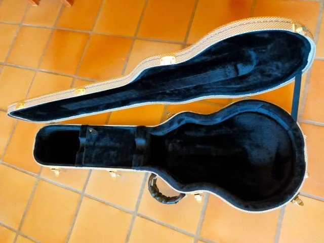 Estuche Hagström Swede / Les Paul de segunda mano · Foto 1 de 3 · León · 100 €