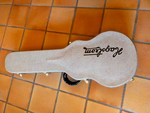 Estuche Hagström Swede / Les Paul de segunda mano · Foto 2 de 3 · León · 100 €