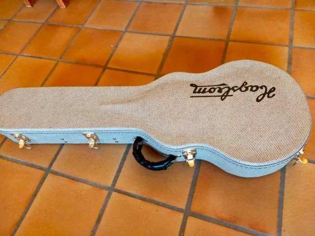 Estuche Hagström Swede / Les Paul de segunda mano · Foto 3 de 3 · León · 100 €