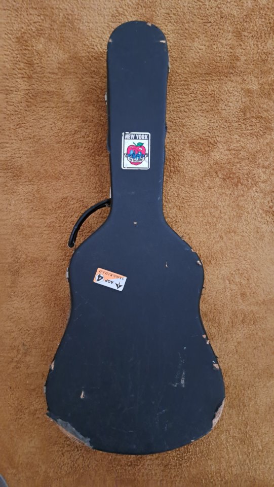 Guitarra acústica Epiphone 12 cuerdas Texan FT-160N