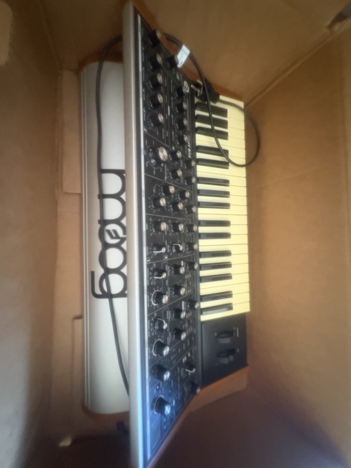 Vendo mini moog de segunda mano · Foto 2 de 3 · Alicante · 1000 €