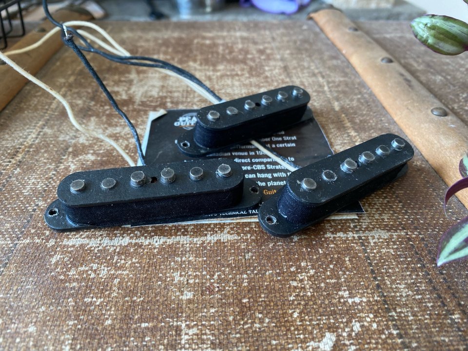 Mark Foley Number One SRV